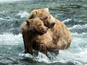 Katmai National Park and Preserve 