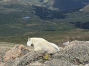Mount Evans Wilderness