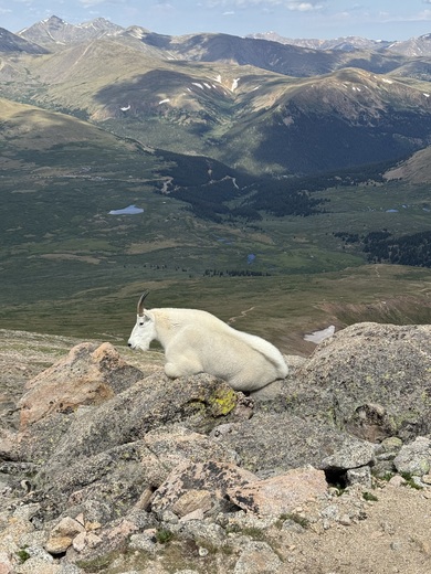 Mount Evans Wilderness