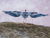 The heron has landed