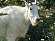 Glacier National Park