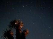 Joshua Tree National Park 
