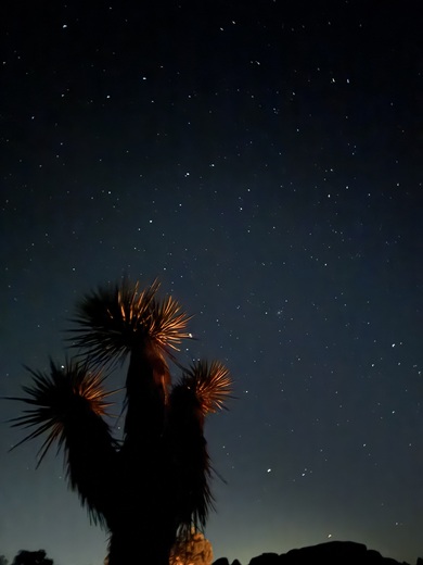 Joshua Tree National Park 
