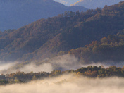 Great Smoky Mountains National Park