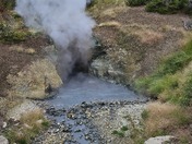 Yellowstone National Park
