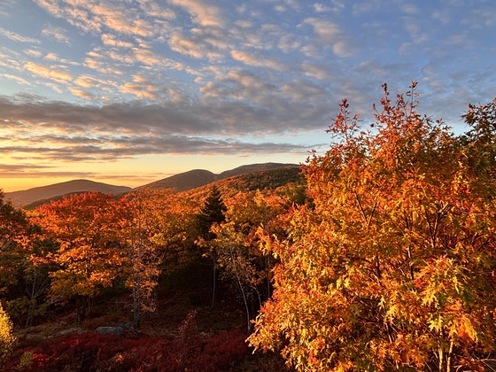 Acadia National Park