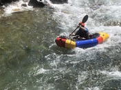 Great Bear Wilderness 