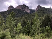 Great Bear Wilderness 