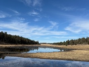 Cleveland National Forest