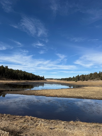 Cleveland National Forest