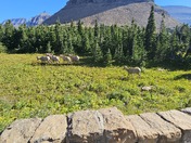 Glacier National Park