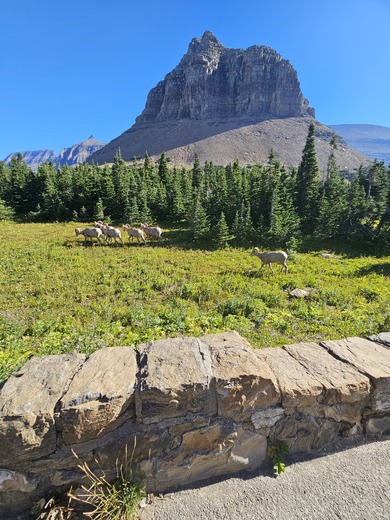 Glacier National Park