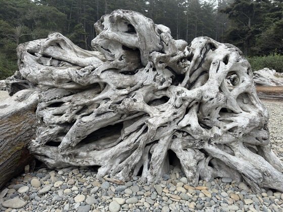 Olympic National Park, Coast. 
