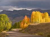 Flat Tops Wilderness 