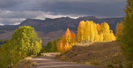 Flat Tops Wilderness 