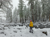 Yosemite National Park