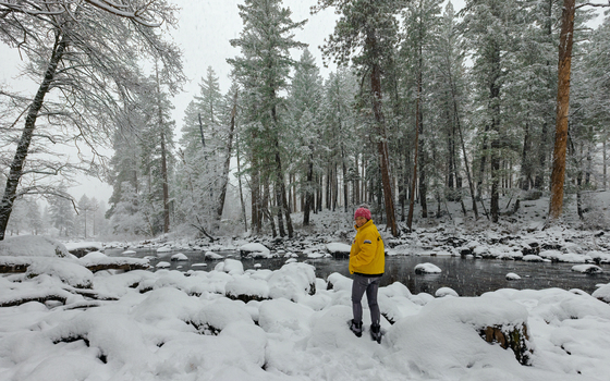 Yosemite National Park