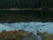 Mt Rainier National Park