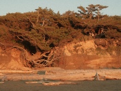 Olympic National Park