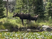 Rocky Mountain National Park