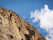 Devils Tower National Monument 