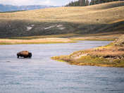 Yellowstone National Park