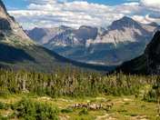 Glacier National Park