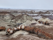 Petrified Forest National Park
