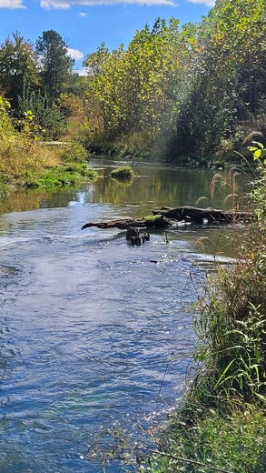 Wolf Creek Dam 
