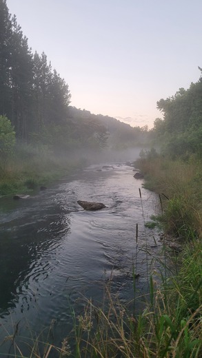 Wolf Creek Dam 