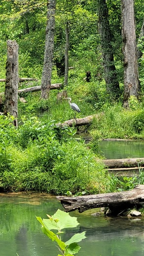 Wolf Creek Dam 