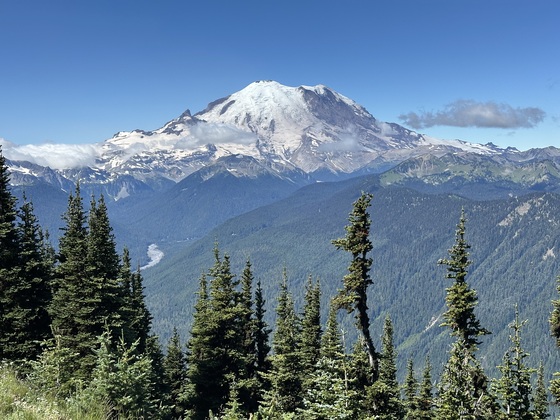Mount Rainier National Park 