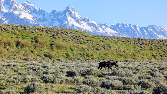 Grand Teton National Park