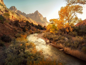 Zion National Park