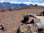 Haleakalā National Park