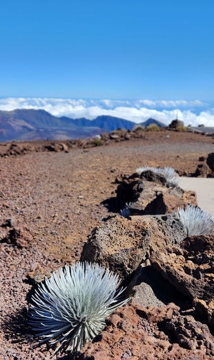 Haleakalā National Park