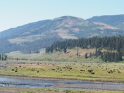 Yellowstone National Park