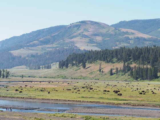 Yellowstone National Park