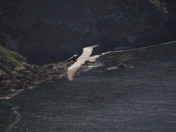 Channel Islands National Park