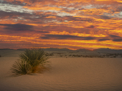 White Sands National Park