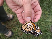 Hopewell Culture National Historical Park