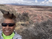 Petrified Forest National Park