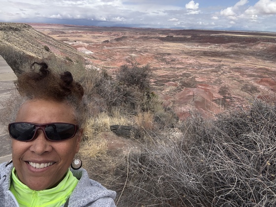 Petrified Forest National Park