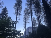 Yosemite National Park 