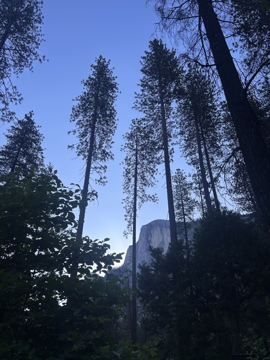 Yosemite National Park 