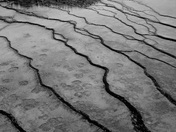 Yellow Stone National Park