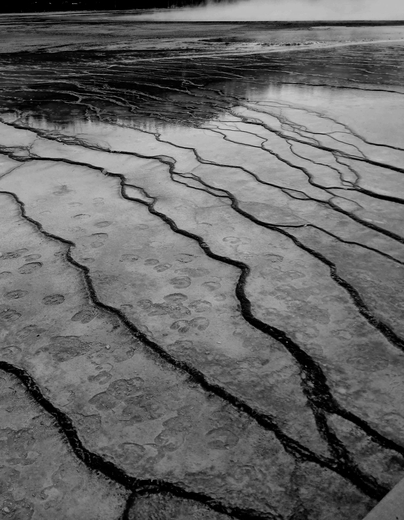 Yellow Stone National Park