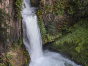 Umpqua National Forest 