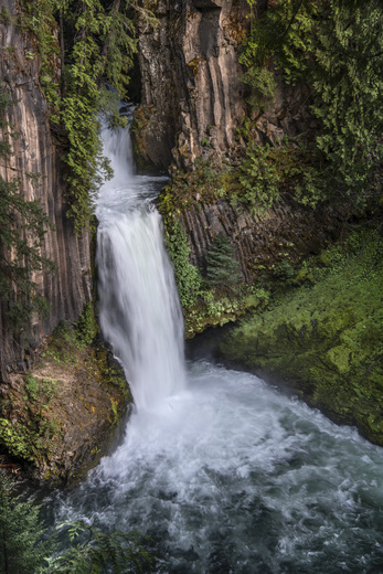 Umpqua National Forest 