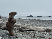 Olympic National Park